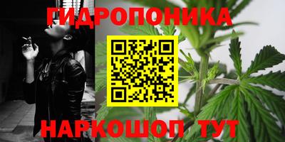 мдпв Тверь