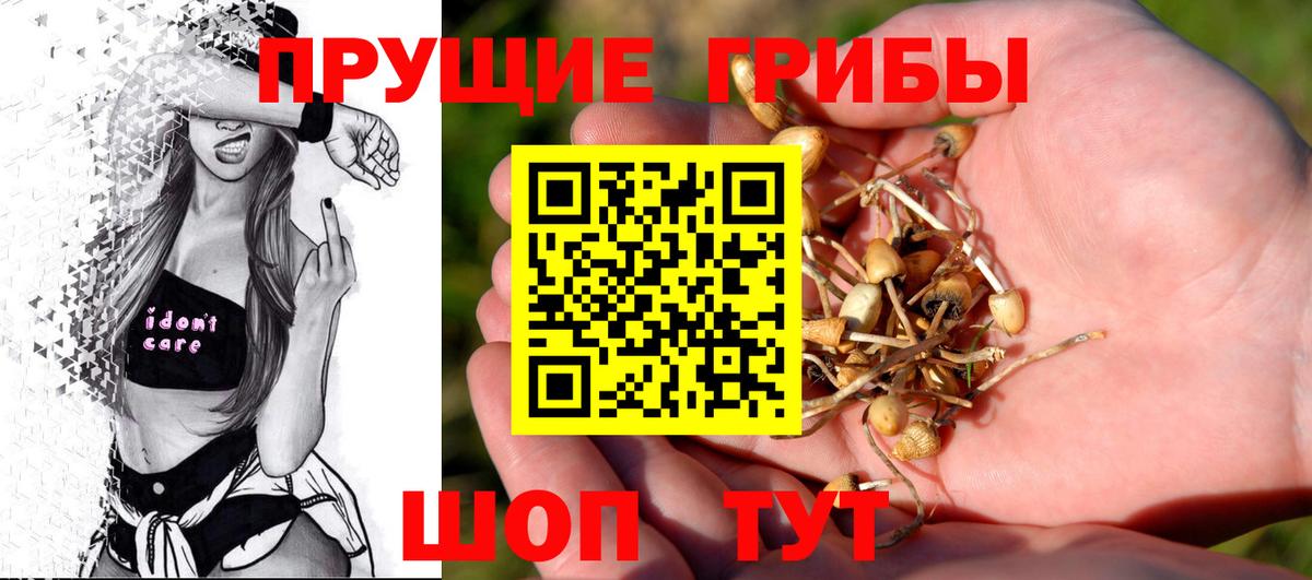 Псилоцибиновые грибы Psilocybine cubensis  Вход с VPN  Псилоцибиновые грибы Magic Shrooms  Нижнеудинск 