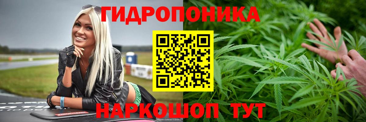 Каннабис Ganja  Канабис ГИДРОПОН  Марихуана MAZAR  Вход с VPN  Нижнеудинск 